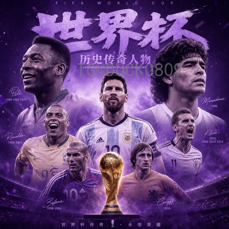 最新2026美加墨世界杯主办城市全攻略：16座城市亮点与场馆一览